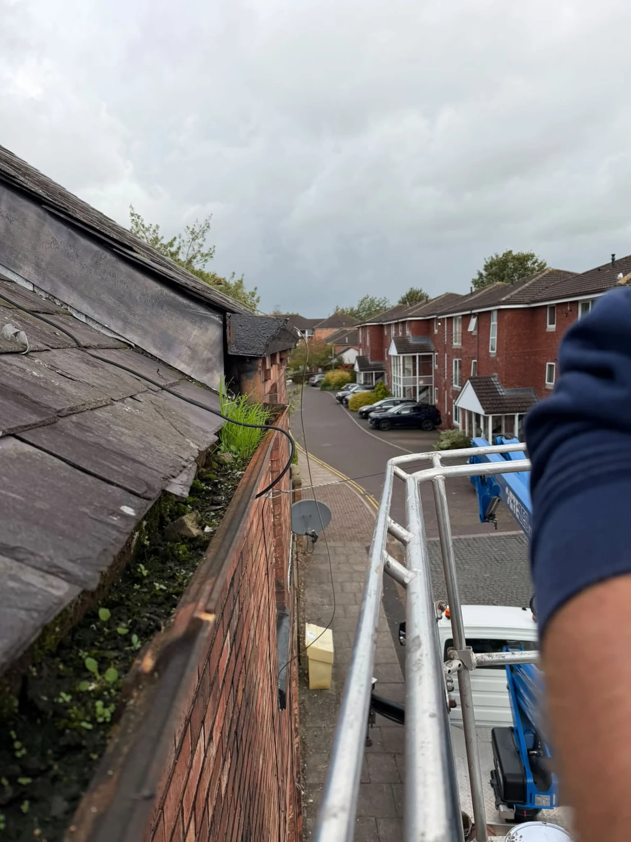 Blocked gutter containing moss, vegetation and debris